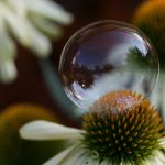 如何在365bet官网娱乐中获取更多的游戏乐趣 0p2nxbp2