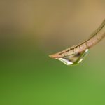 如何在6151彩票网上提高你的中奖概率? 2n3y226us