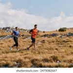 如何在365足球平台上获取最新足球资讯与赔率 7qiwyd