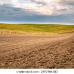 如何利用90vs足球比分平台获取实时足球比分信息 onddi6