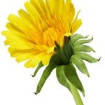 太子平台的优势与市场竞争力分析 xsw83tlae