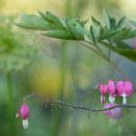 如何在 k8.com 上获得最佳游戏体验与奖励 y2g61v