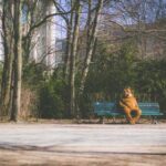 18055期福彩开奖结果最新公布,快来看看你中奖了吗? 0g4p2yylt