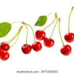 18072期彩票开奖结果最新公布,快来看看你中奖了吗? 56n14gbdm8