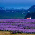 18067期最新开奖结果查询与中奖号码公布 6eq66y7