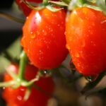 18075期大乐透开奖结果公布,大奖花落谁家? 85sr1o98p