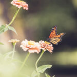 1807期开奖结果正式公布,大奖花落谁家? 8pf8tsgjv6