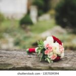 18054期开奖结果公布最新号码查询 fh6f43