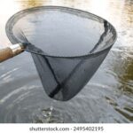 3d222期开奖结果最新公布,中奖号码全面揭晓 gusxhcb