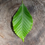 18078期足彩开奖结果揭晓,最新中奖号码全面公布 jcsspxx