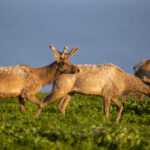 18076期开奖号码公布最新结果查询 lw9sh1n