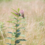 180717星彩开奖最新结果与中奖号码公布 ux2ei