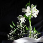 18058期福彩开奖结果最新公布,快来看看你中奖了吗? zr57c6